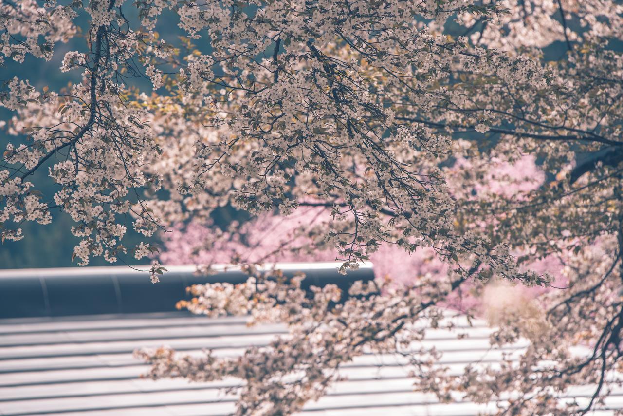 Kaze No Hibiki Hotel Nikko Buitenkant foto